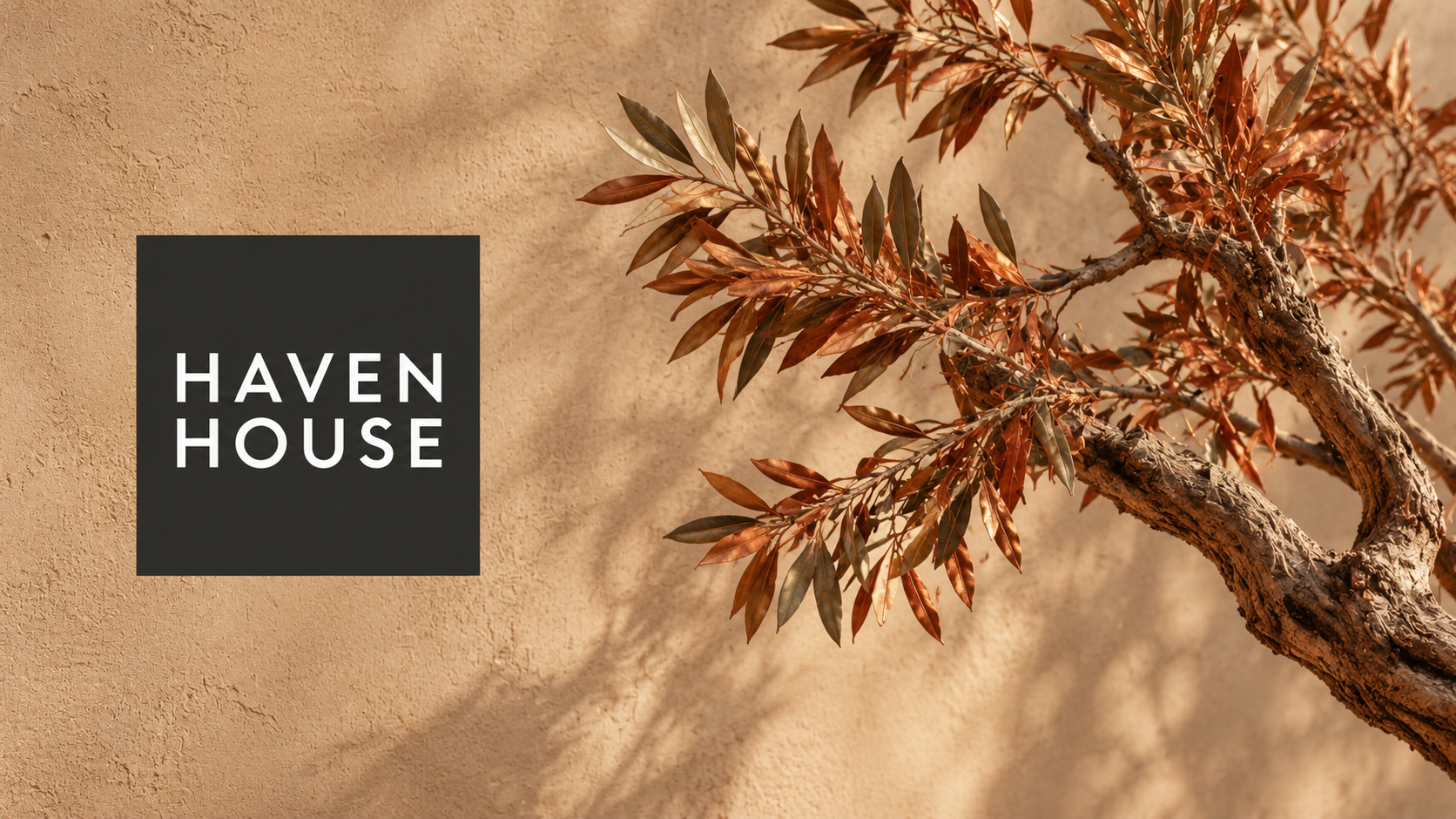 Haven House hospitality concept cover